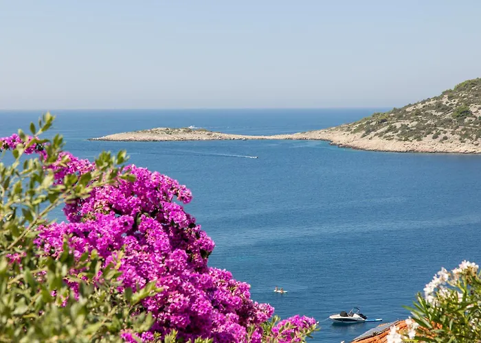 Villa Kadena Luxury Apartments